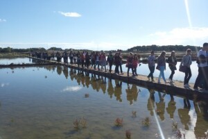 Dodana vrijednost cvijetu od soli!