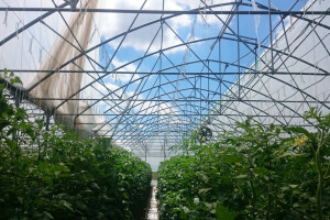 Poljoprivredni obrt Špehar