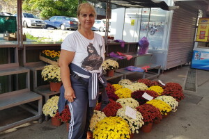 Cvjetna idila porodice Budimir: Ljubav prema cvijeću nije rezervisana samo za žene