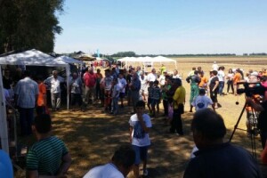 Srbobranska brazda 2015.