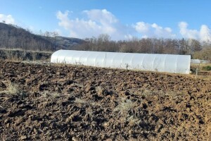 Priprema plastenika za sledeću proizvodnu sezonu