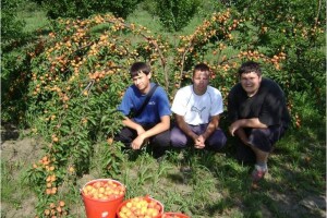 Srednja škola Dalj - dobra poljoprivredna praksa!