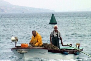 Poljoprivreda - starački OPG-ovi