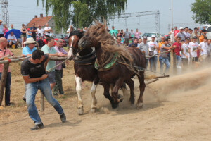 Štraparijada u Okučanima