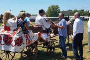 Sisačko-moslavačka županija prva u uzgoju konja