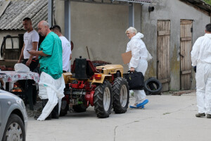 Afrička svinjska kuga u Jagodnjaku i Dalju