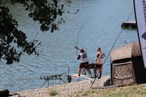 Svetsko prvenstvo u ribolovu šarana