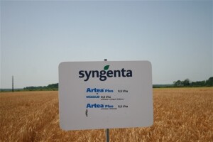 Dani polja Syngenta