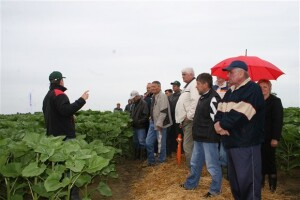 Syngenta - Centralni dani polja, Veliškovci