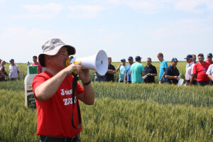 Syngenta Centralni dan polja