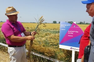 Syngenta - Centralni dan polja 2018, Višnjica