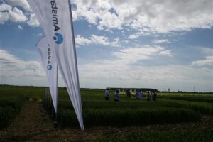 Održana prva radionica u polju - Syngenta