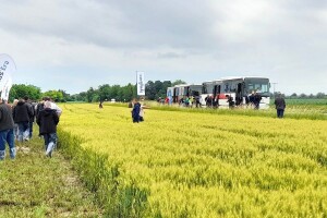 Centralni dan polja tvrtke Syngenta