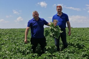 Kristijan Šajnović iz Domašinca obrađuje više od 250 hektara poljoprivrednih površina