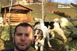 Bosanskohercegovačka autohtona pasmina pasa tornjak