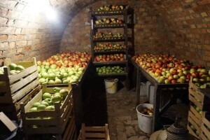 Hobbitova kućica usred slavonske ravnice mjesecima održava namirnice svježima