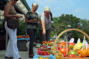 Kraljica rajčice Trudi Boršoš