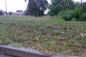 Tuča nanijela velike štete Međimurju