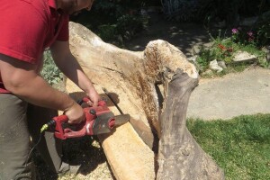 Udruga Arteco Pavletić, skulpture od vinove loze i masline