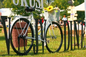 Drugi gastronomski festival "Ukusi Vojvodine"