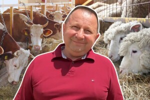 Bosanski inat Dragana Vukovića: Krenuo iz hobija, danas na farmi 1.000 grla stoke