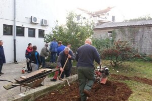 Zanimljivi projekti Zeleni Brač i Brački pahaj