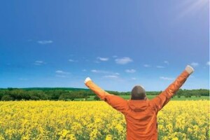 KWS hibridi i sorte uljane repice – selekcija za pobjednike