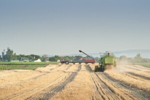Konkurentni smo na tržištu jer sijemo više kultura!