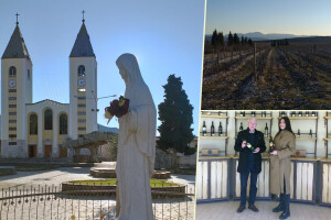 Broćanska žila(vka) kucavica - za smijeh i grijeh