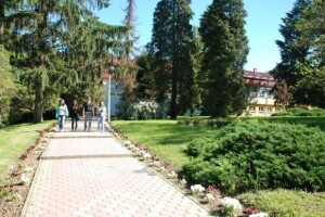 Visoko gospodarsko učilište u Križevcima