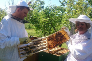 Stjepan Vidošić poizvodi matičnu mliječ