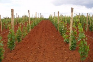 IPARD sredstva za poljoprivrednu mehanizaciju