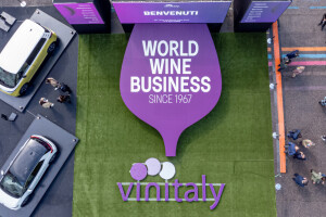 Vinitaly 2024: Najveća svetska izložba vina 56. put u Veroni