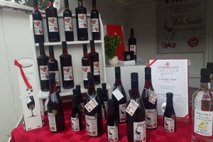 Vino od višnje Bele Saulića iz Bajmoka