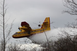 Projekt Silvanus: Demonstrirano gašenje šumskog požara