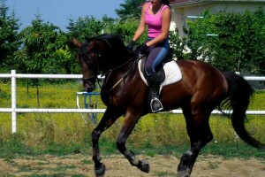 OPG Krivić - Bonanza