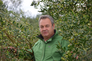 Maslinar Dr. Ivica Vlatković