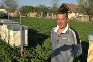 Uprkos alergiji, zavoleo pčele i pčelarenje