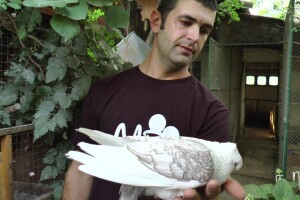 U porodičnom dvorištu napravio mini zoo-vrt