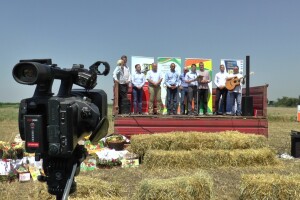 Tradicionalna manifestacija "Žetveni dan" u Čurugu