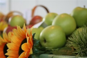 3. Voćarski sajam u Donjem Kraljevcu 2008 - detalji sa sajma