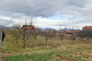 Voćnjak u zimskom periodu