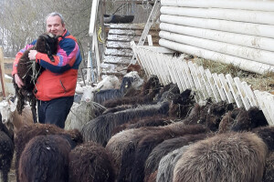 Karakačanski konj, balkanska koza, vitoroga žuja u etno selu "Vila Jefimija"