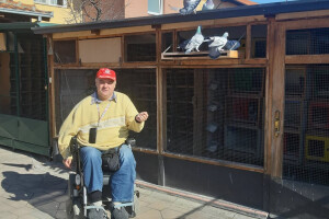 Golubarstvo Srđana Trajkovića