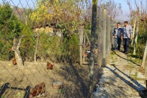 OPG Vrkljan iz Podvinja uzgaja izvorne domaće vrste peradi!