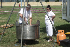 Žetva i vršidba u prošlosti