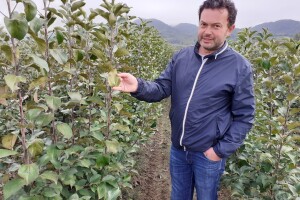 Rasadnik Agro-Car d.o.o.