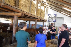 Mladi međimurski mljekari u Austriji