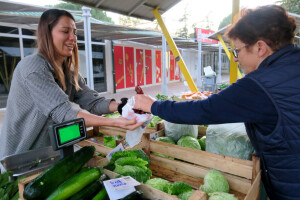 Solidarna ekološka tržnica u Puli