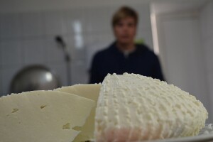 Paške uskrsne trpeze bez Žamaka